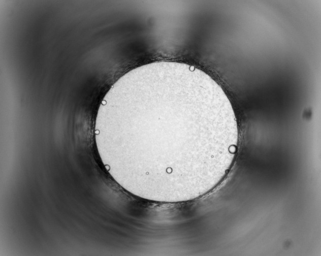 X0000103930186200810101402