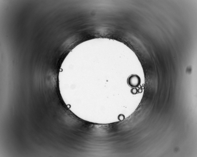 X0000103930188200810101402