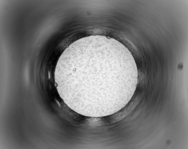 X0000103930189200810101402