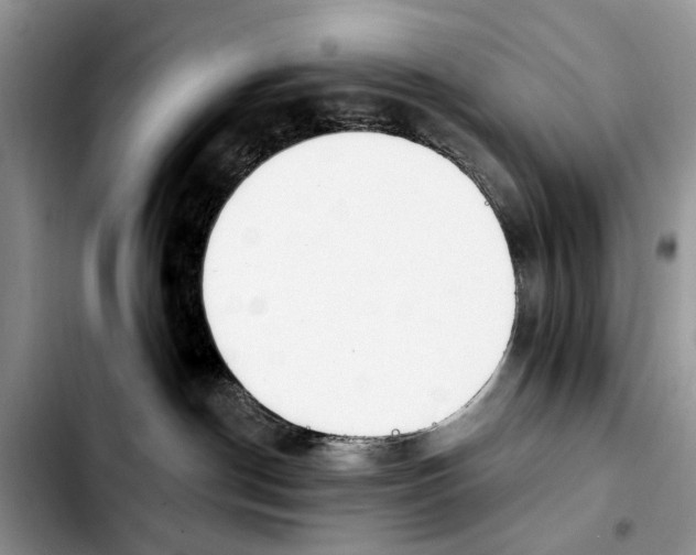 X0000103930190200810101402