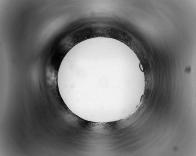 X0000103930191200810101402