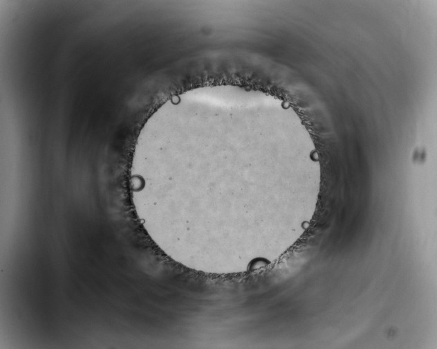 X0000103930192200810101402