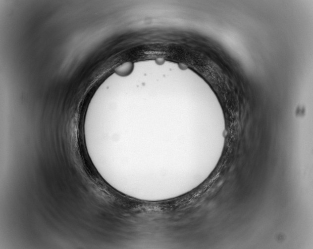 X0000103930194200810101401