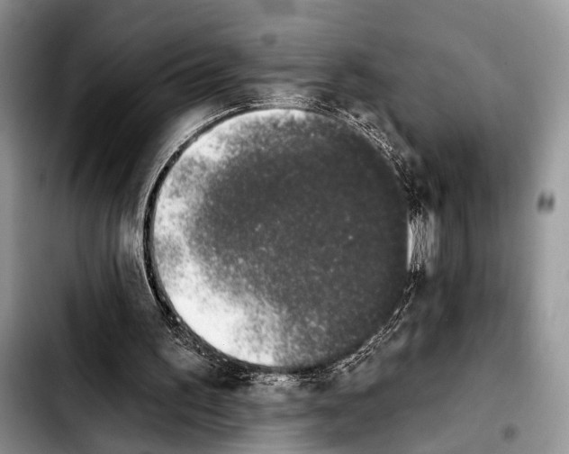 X0000103930195200810101401