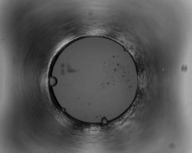 X0000103930196200810101401