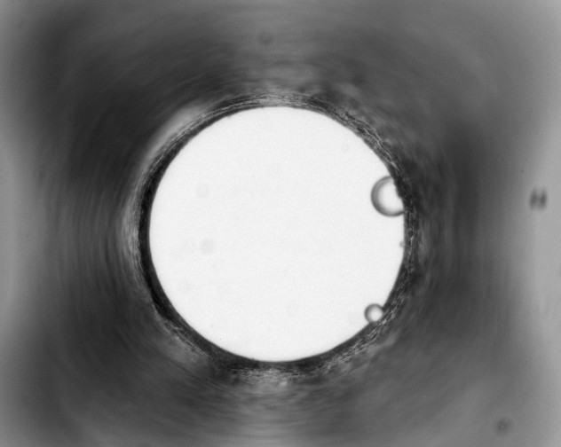 X0000103930197200810101401