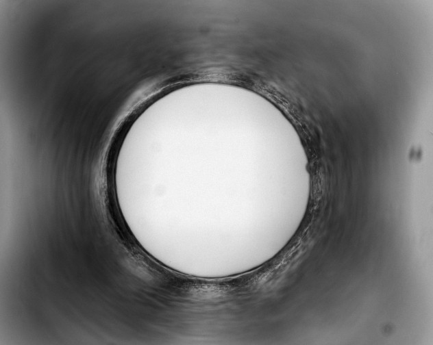 X0000103930198200810101401