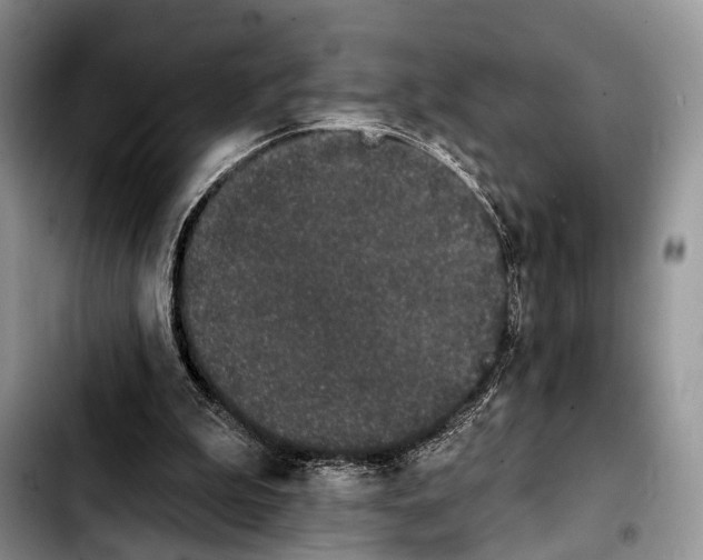 X0000103930199200810101401