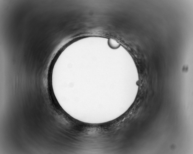 X0000103930200200810101401