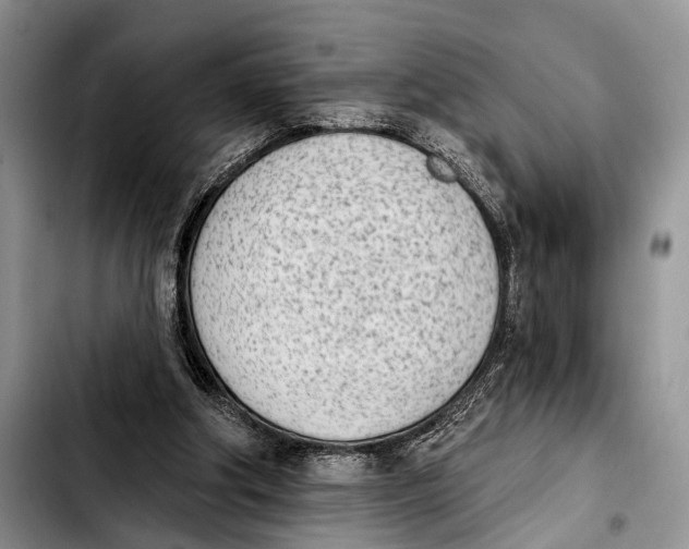 X0000103930202200810101401