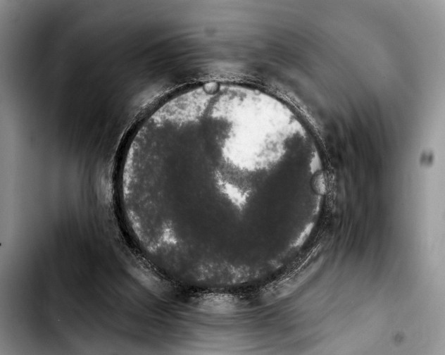 X0000103930203200810101401