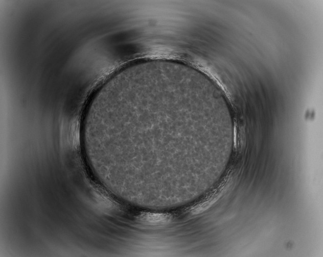 X0000103930205200810101401