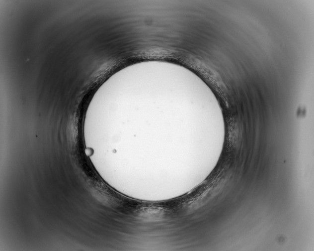 X0000103930206200810101401