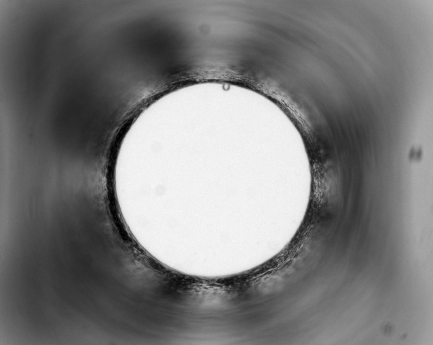 X0000103930207200810101401