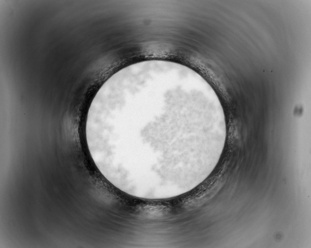 X0000103930209200810101401