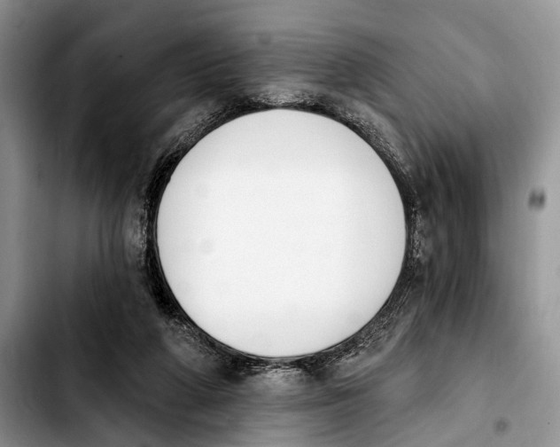 X0000103930210200810101401