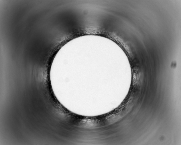 X0000103930211200810101401