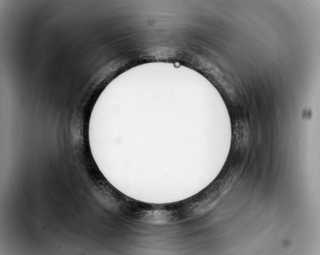 X0000103930212200810101401