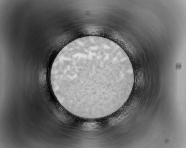 X0000103930213200810101401