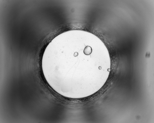 X0000103930215200810101401