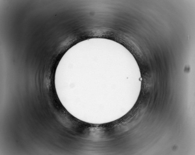 X0000103930216200810101401