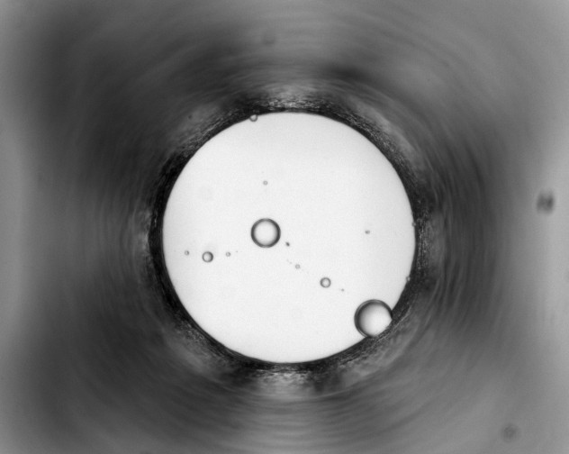 X0000103930217200810101401