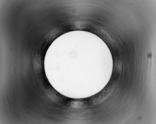 X0000103930220200810101401