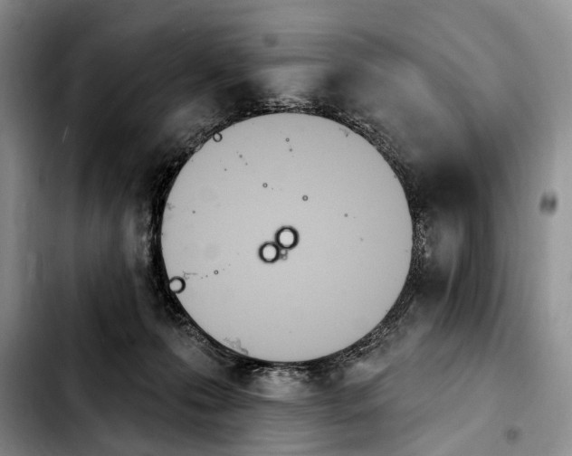 X0000103930223200810101400