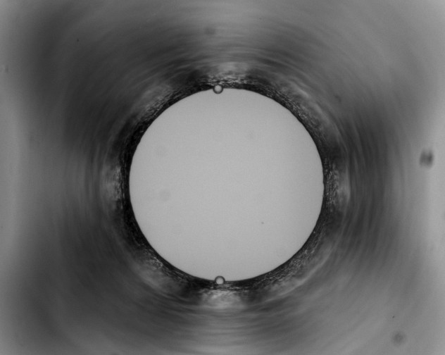 X0000103930224200810101400