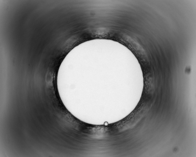 X0000103930225200810101400