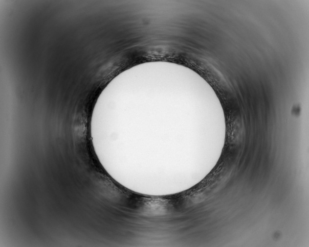 X0000103930226200810101400