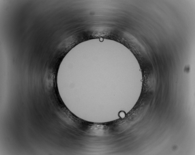 X0000103930227200810101400