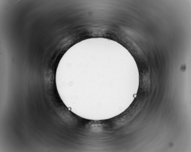 X0000103930228200810101400