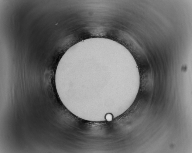 X0000103930229200810101400