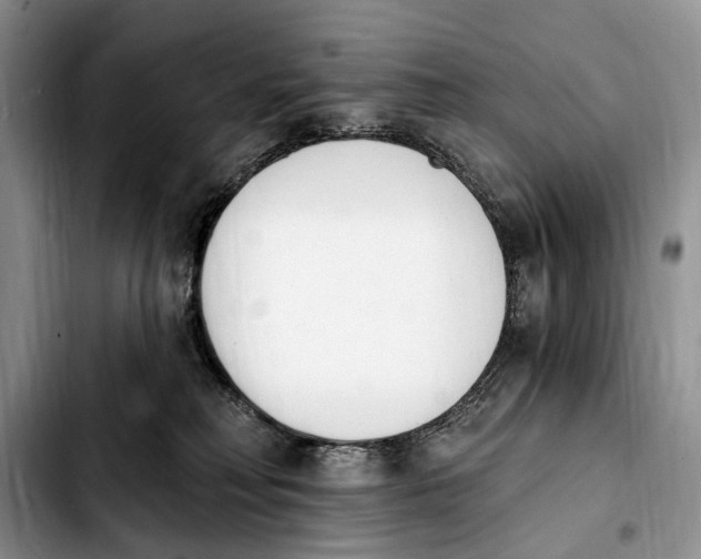 X0000103930230200810101400