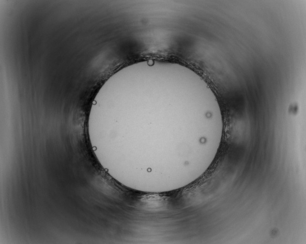 X0000103930231200810101400