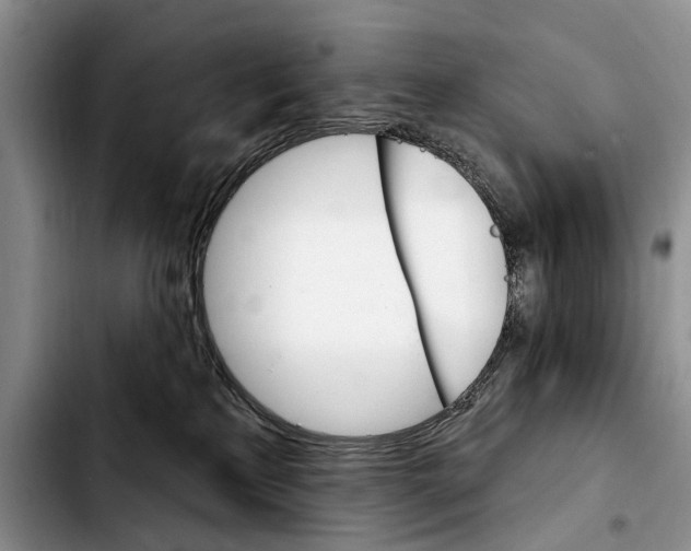 X0000103930233200810101400