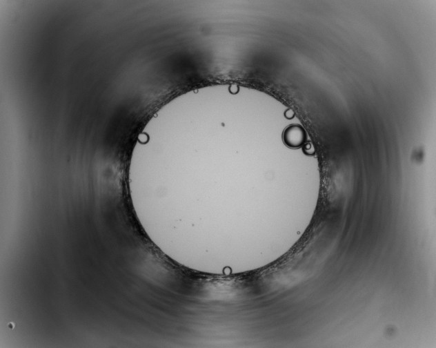 X0000103930235200810101400