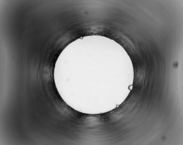 X0000103930236200810101400