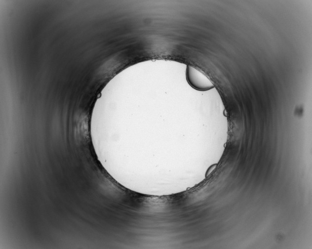 X0000103930238200810101400