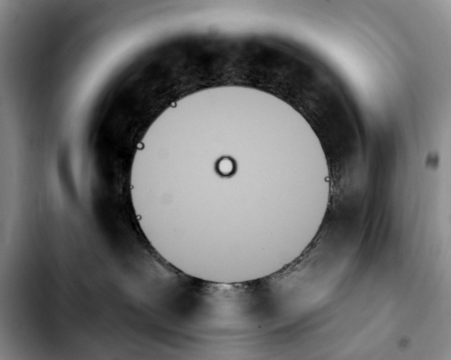 X0000103930239200810101400