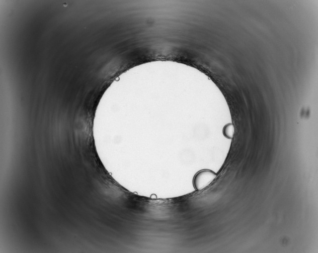 X0000103930240200810101400