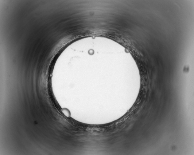 X0000103930242200810101400