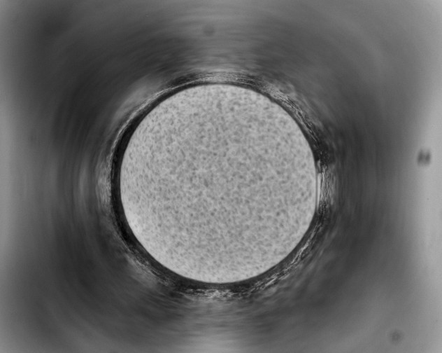 X0000103930243200810101400