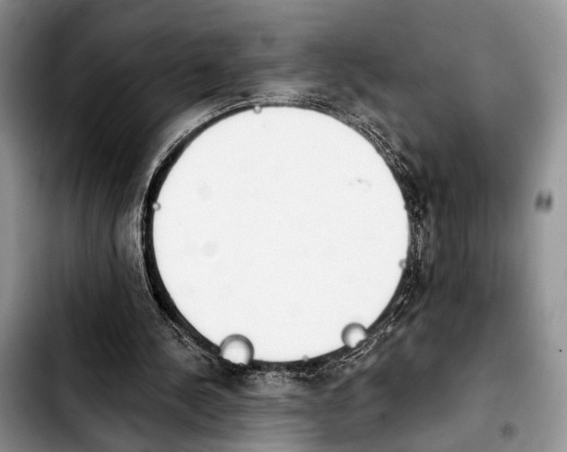 X0000103930244200810101400