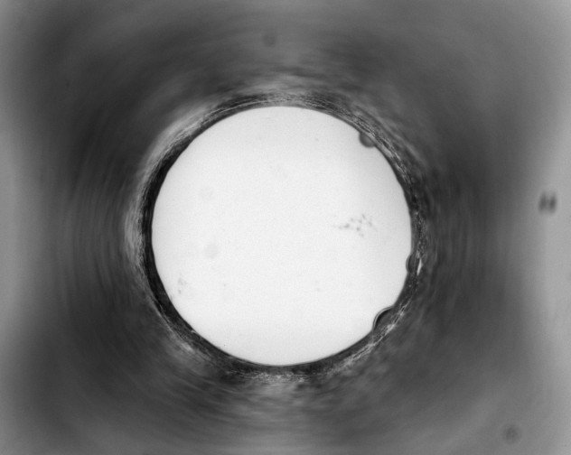 X0000103930245200810101400