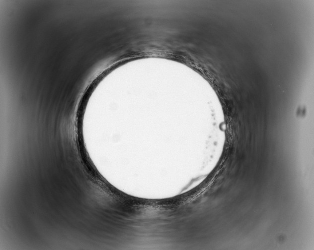 X0000103930246200810101400