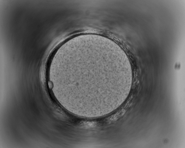 X0000103930247200810101400