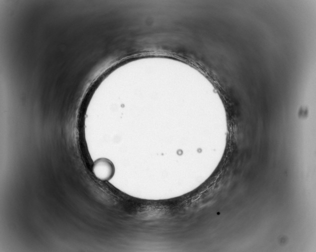 X0000103930248200810101400