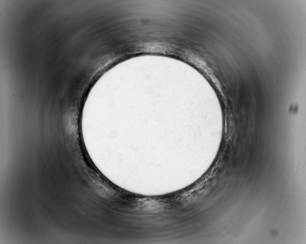 X0000103930249200810101400